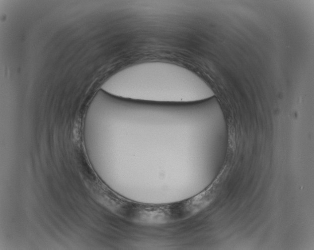 X0000085290175200703091103
