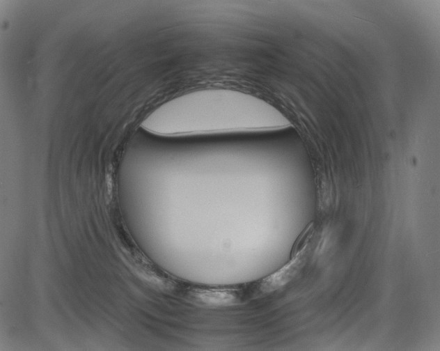 X0000085290183200703091103