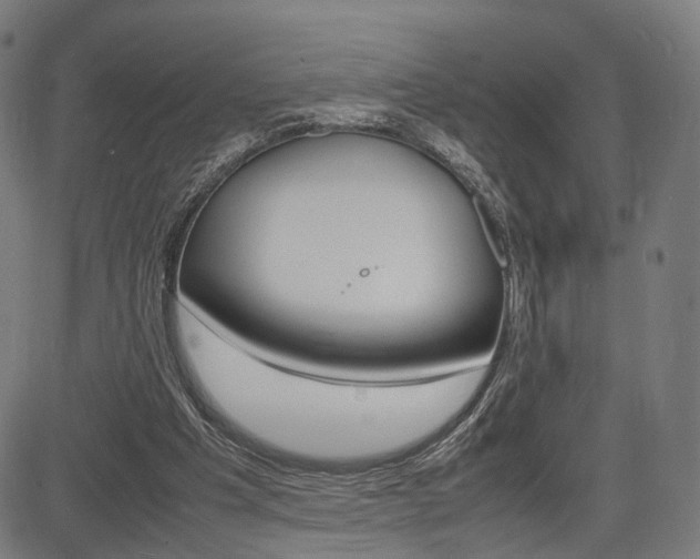 X0000085290201200703091103