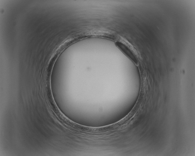 X0000085290203200703091102