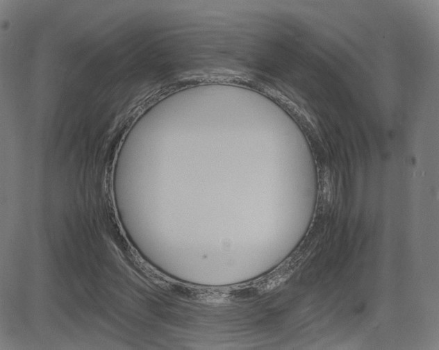 X0000085290206200703091102