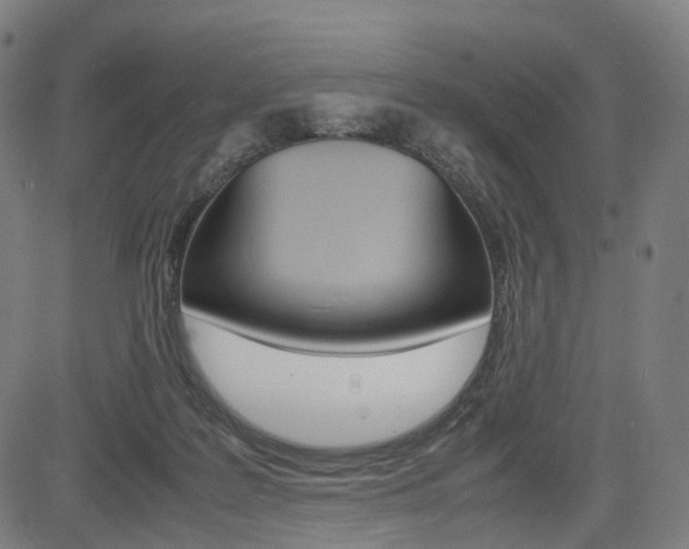 X0000085290219200703091102