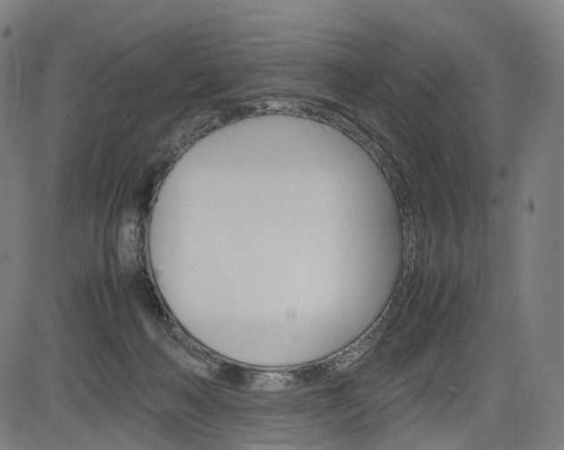 X0000085290222200703091102