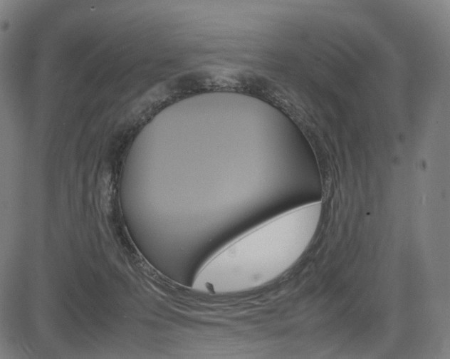 X0000085290223200703091102
