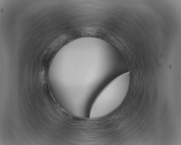 X0000085290224200703091102