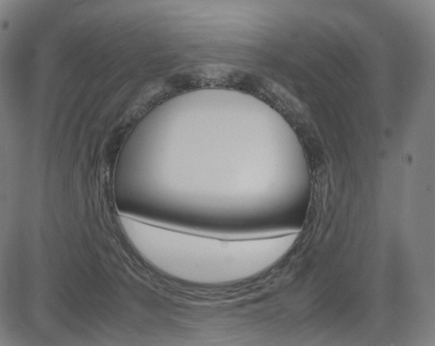 X0000085290225200703091102
