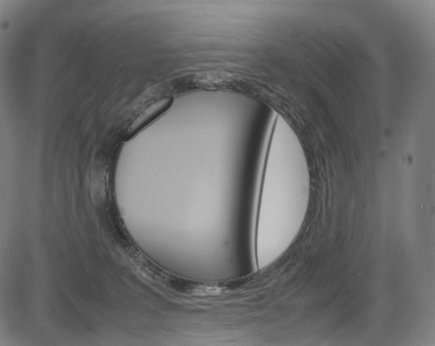 X0000085290227200703091102