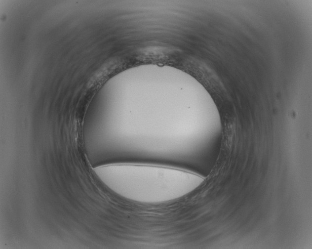 X0000085290232200703091102