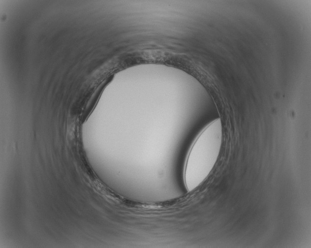 X0000085290233200703091102