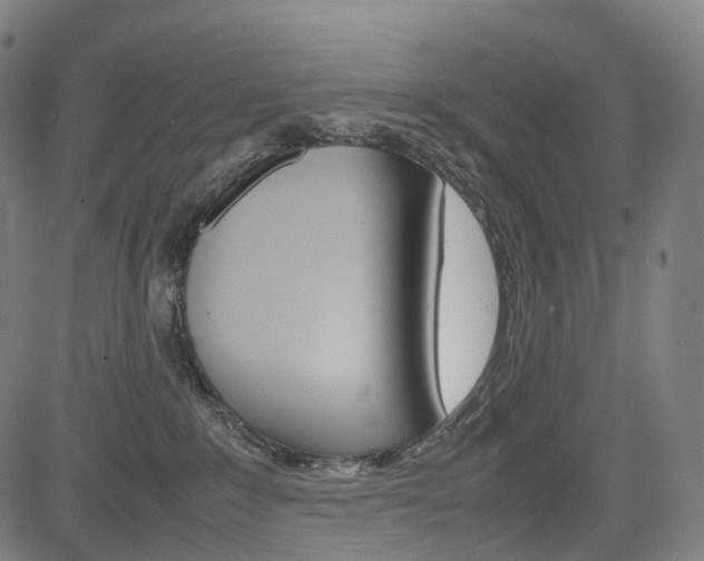 X0000085290235200703091102