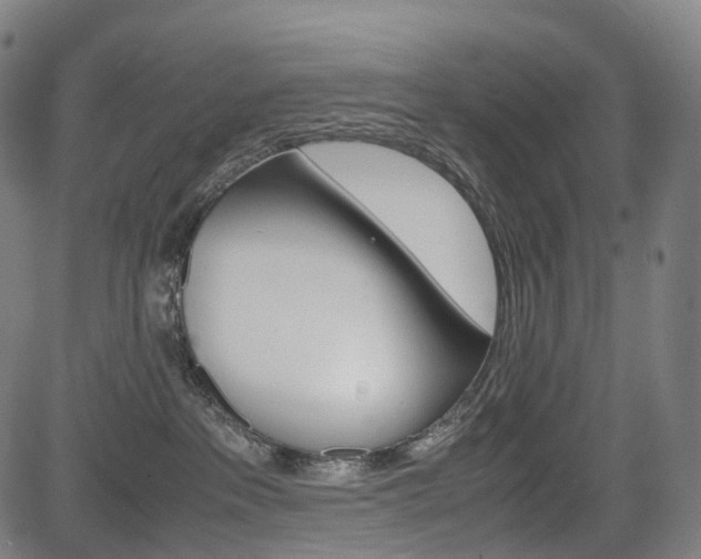 X0000085290237200703091102