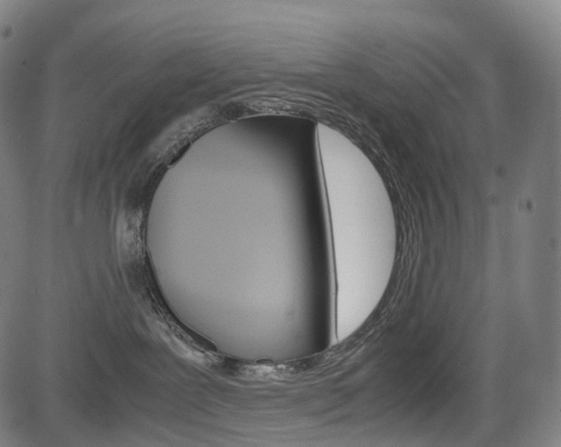X0000085290239200703091102