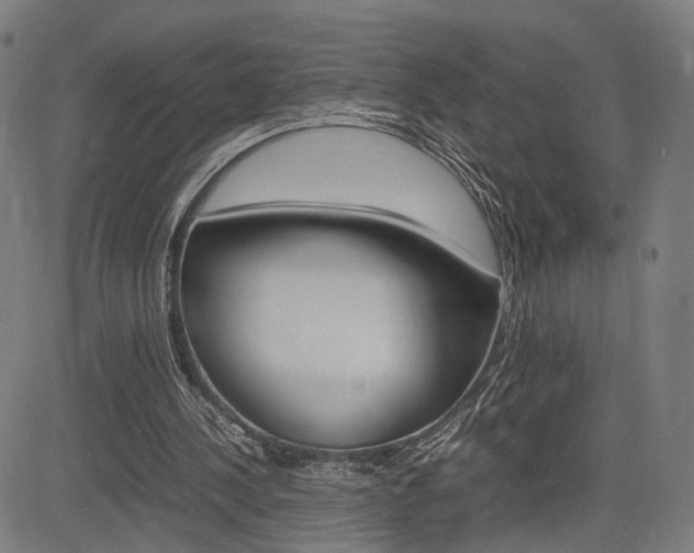 X0000085290244200703091101