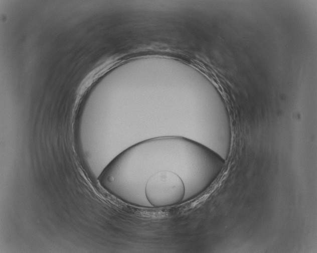 X0000085290245200703091101