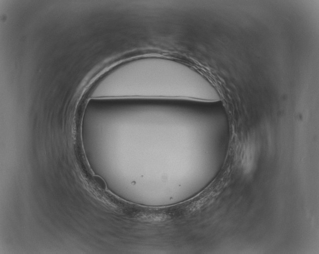 X0000085290247200703091101