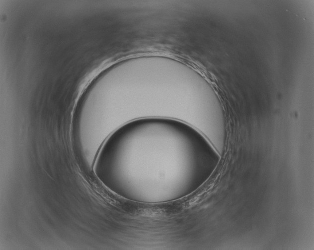 X0000085290248200703091101