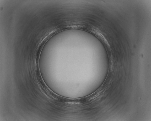 X0000085290251200703091101
