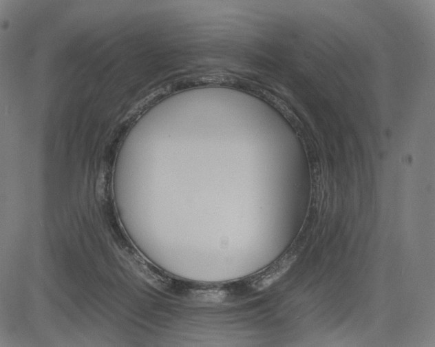 X0000085290266200703091101