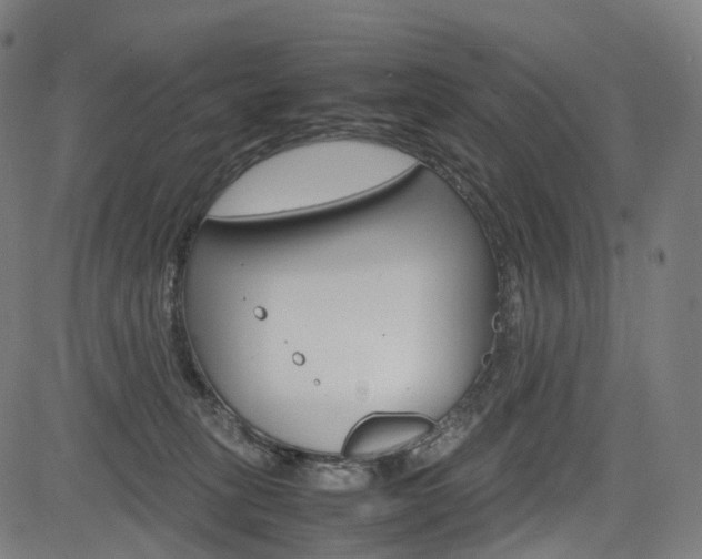 X0000085290275200703091102