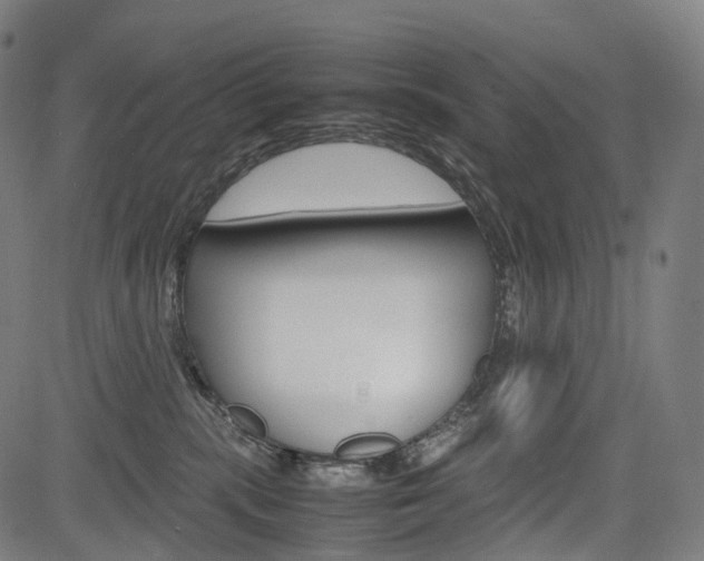 X0000085290283200703091102