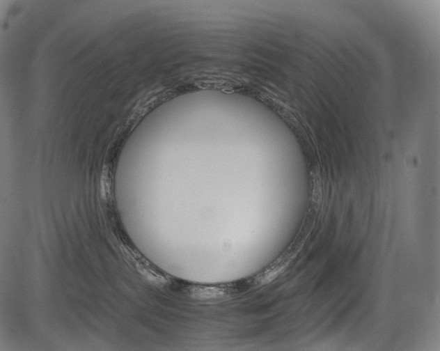 X0000085290287200703091102
