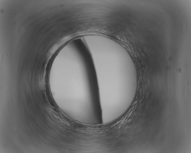 X0000085290292200703091101