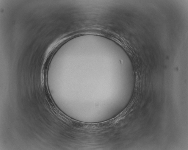X0000085290294200703091101