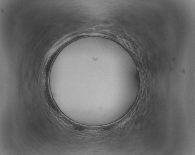 X0000085290295200703091101