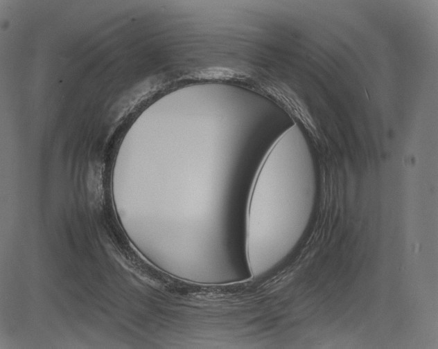 X0000085290300200703091101