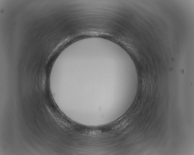 X0000085290304200703091101