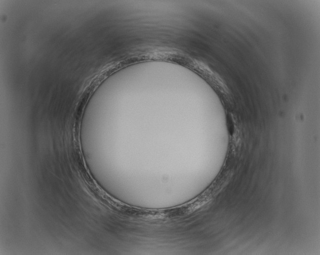 X0000085290306200703091101