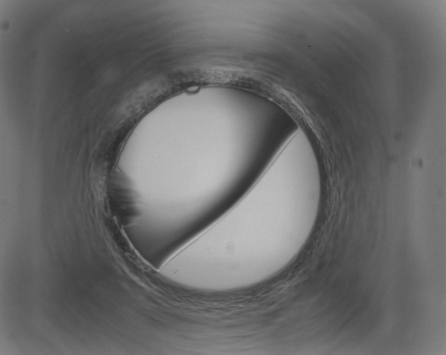 X0000085290307200703091101