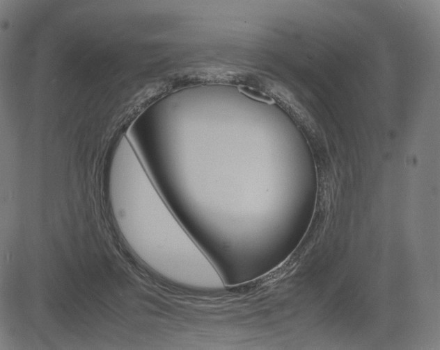 X0000085290309200703091101