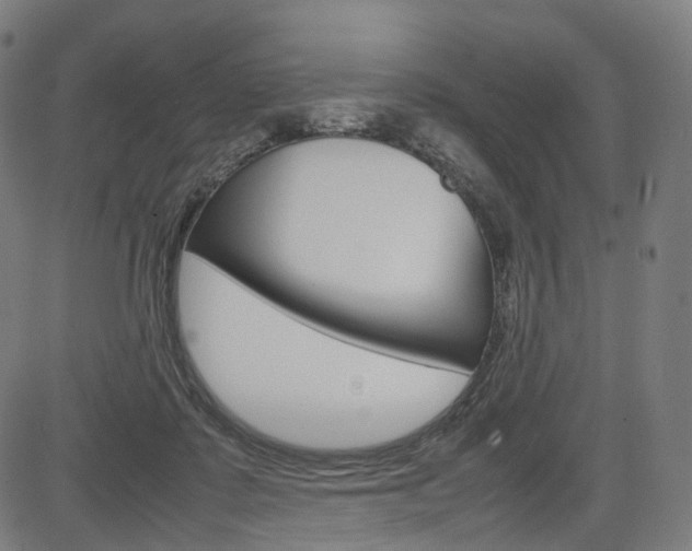 X0000085290315200703091101