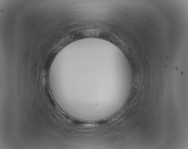 X0000085290323200703091100