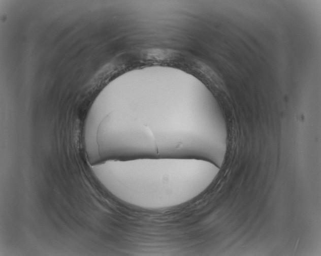 X0000085290328200703091100