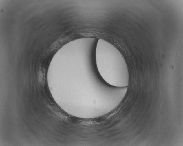 X0000085290332200703091100