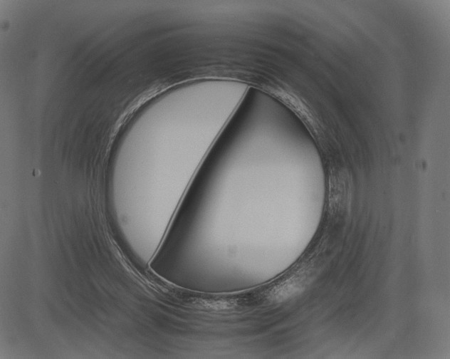 X0000085290349200703091100