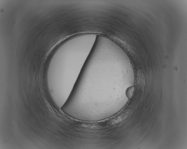 X0000085290351200703091100