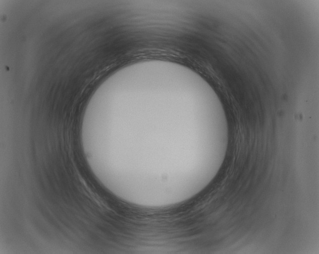 X0000085290360200703091100