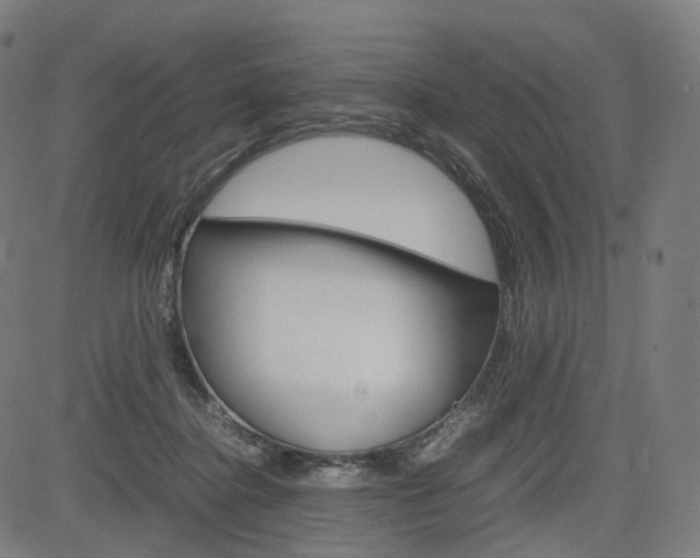 X0000085290364200703091100