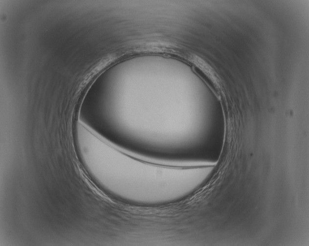 X0000085290389200703091059