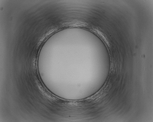 X0000085290394200703091059