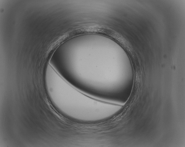 X0000085290397200703091059