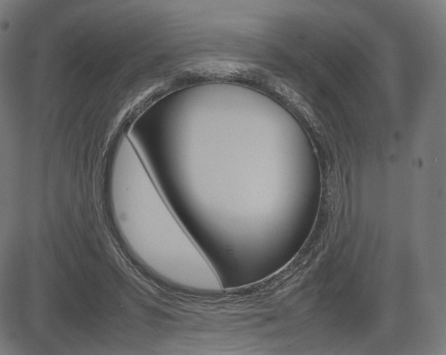 X0000085290399200703091059
