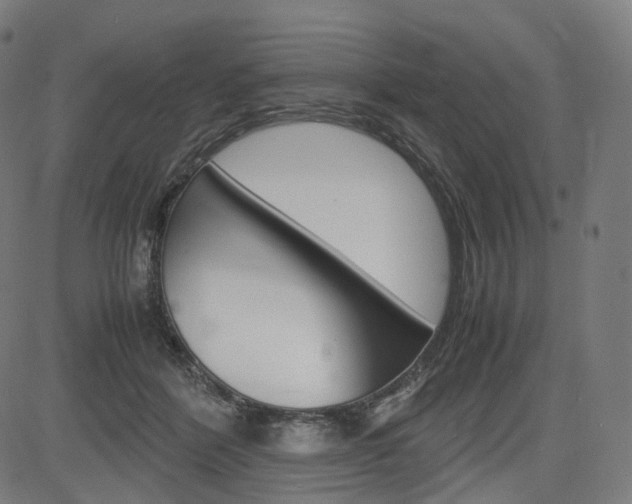 X0000085290412200703091059