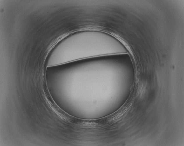 X0000085290437200703091058