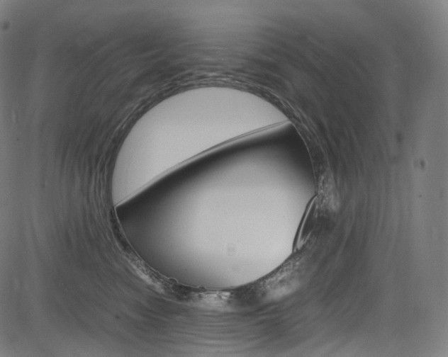 X0000085290474200703091059