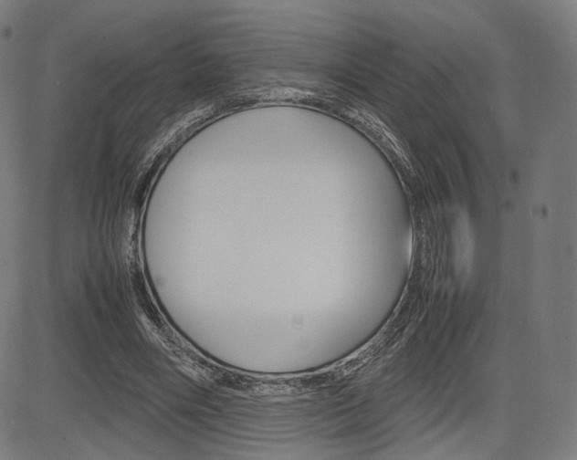 X0000085290490200703091058
