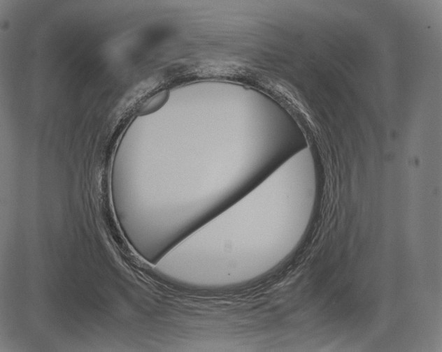 X0000085290491200703091058